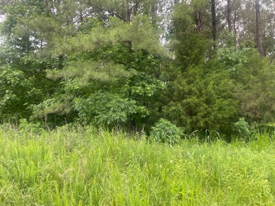 5 Acres of unrestricted land near Lexington, TN - image 2