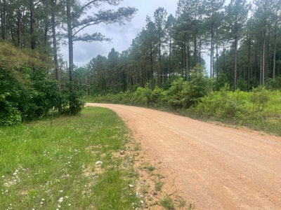 5 Acres of unrestricted land near Lexington, TN - image 3