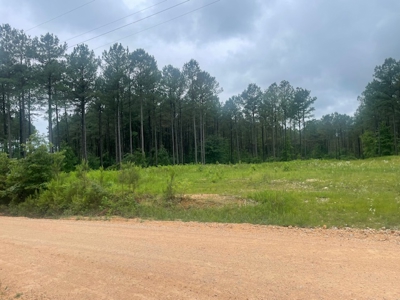 5 Acres of unrestricted land near Lexington, TN - image 4