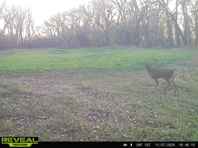 Turn-Key Recreational Farm Along the Little Blue River - image 40