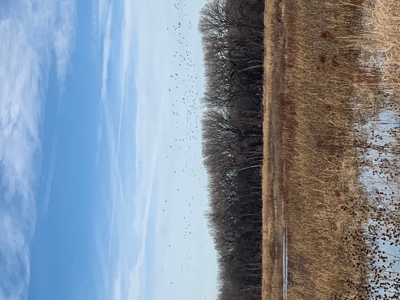 Turn-Key Recreational Farm Along the Little Blue River - image 15