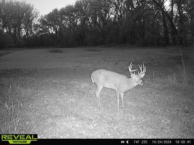 Turn-Key Recreational Farm Along the Little Blue River - image 38