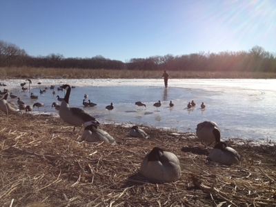 Turn-Key Recreational Farm Along the Little Blue River - image 18