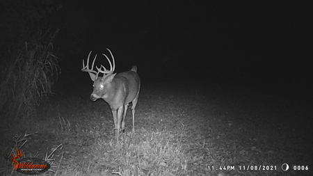 Turn-Key Recreational Farm Along the Little Blue River - image 50