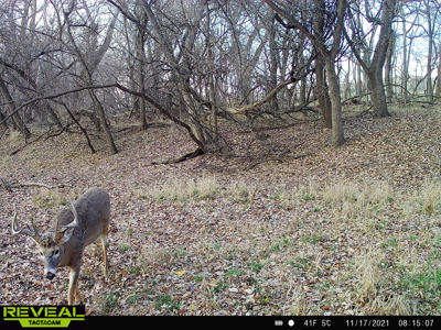 Turn-Key Recreational Farm Along the Little Blue River - image 49