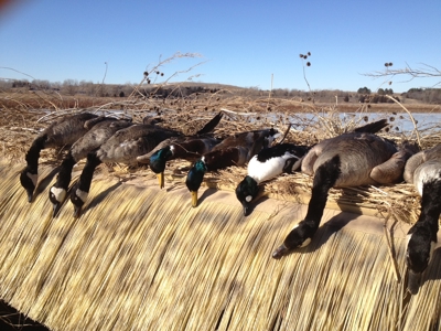 Turn-Key Recreational Farm Along the Little Blue River - image 19