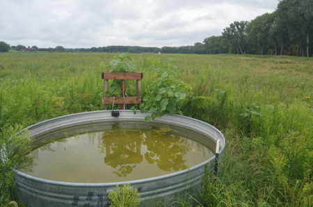 Turn-Key Recreational Farm Along the Little Blue River - image 31