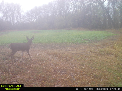 Turn-Key Recreational Farm Along the Little Blue River - image 39