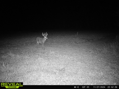 Turn-Key Recreational Farm Along the Little Blue River - image 43