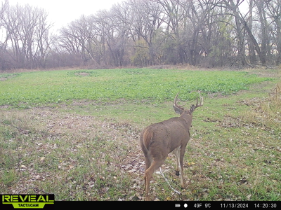 Turn-Key Recreational Farm Along the Little Blue River - image 41