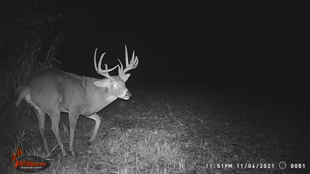 Turn-Key Recreational Farm Along the Little Blue River - image 47
