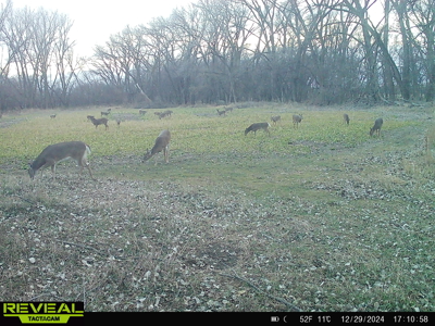 Turn-Key Recreational Farm Along the Little Blue River - image 45