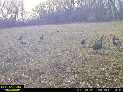 Turn-Key Recreational Farm Along the Little Blue River - image 37