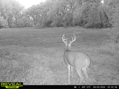 Turn-Key Recreational Farm Along the Little Blue River - image 35