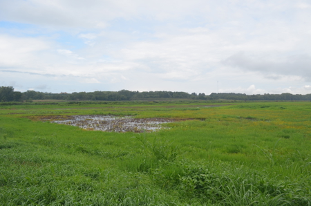 Turn-Key Recreational Farm Along the Little Blue River - image 29