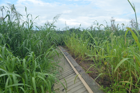 Turn-Key Recreational Farm Along the Little Blue River - image 30