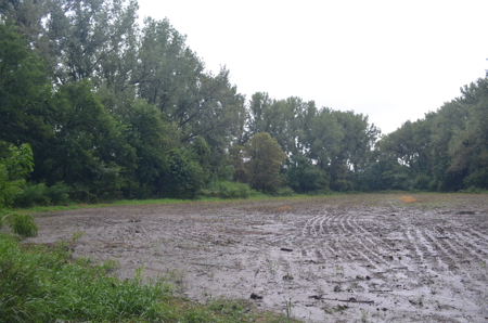 Turn-Key Recreational Farm Along the Little Blue River - image 24