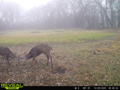 Turn-Key Recreational Farm Along the Little Blue River - image 44