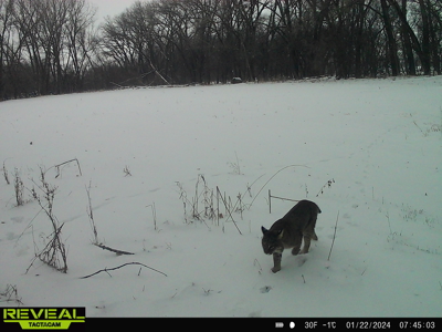 Turn-Key Recreational Farm Along the Little Blue River - image 36