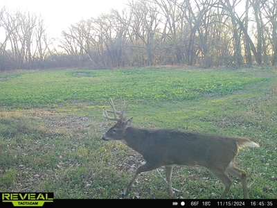 Turn-Key Recreational Farm Along the Little Blue River - image 42