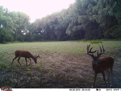 Turn-Key Recreational Farm Along the Little Blue River - image 20