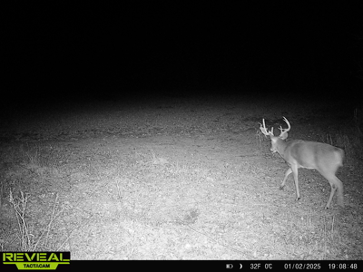 Turn-Key Recreational Farm Along the Little Blue River - image 46