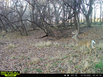 Turn-Key Recreational Farm Along the Little Blue River - image 48