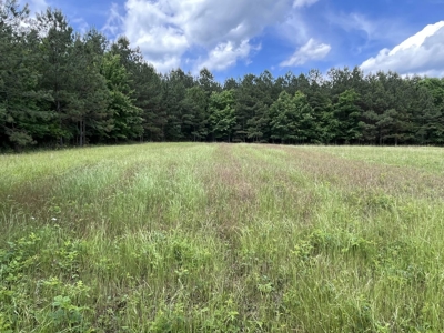 50± Acres of Tennessee Countryside with Creek, Wildlife & Views - image 4