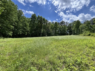 50± Acres of Tennessee Countryside with Creek, Wildlife & Views - image 2
