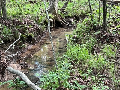 50± Acres of Tennessee Countryside with Creek, Wildlife & Views - image 16