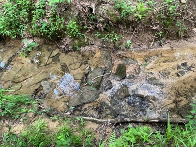 50± Acres of Tennessee Countryside with Creek, Wildlife & Views - image 17