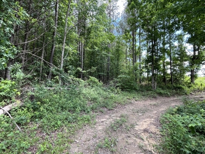 50± Acres of Tennessee Countryside with Creek, Wildlife & Views - image 5