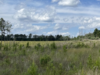 50± Acres of Tennessee Countryside with Creek, Wildlife & Views - image 6