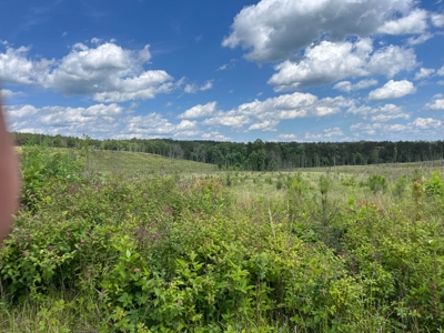 50± Acres of Tennessee Countryside with Creek, Wildlife & Views - image 20
