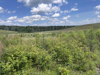50± Acres of Tennessee Countryside with Creek, Wildlife & Views - image 1