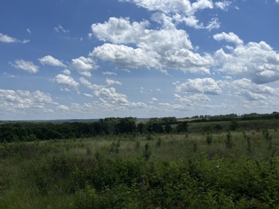 50± Acres of Tennessee Countryside with Creek, Wildlife & Views - image 9