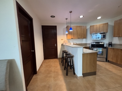 Apartment For Rent With Ocean View Coronado Golf - image 11