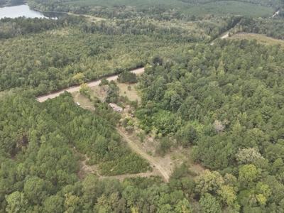 Timberland W/ Creek W/ Old Home Site near Chidester, AR for Sale - image 23