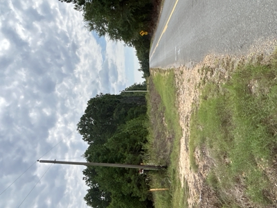 Timberland W/ Creek W/ Old Home Site near Chidester, AR for Sale - image 3