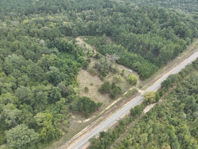 Timberland W/ Creek W/ Old Home Site near Chidester, AR for Sale - image 25