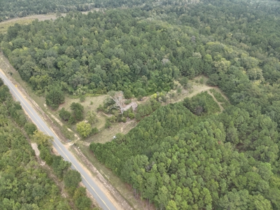 Timberland W/ Creek W/ Old Home Site near Chidester, AR for Sale - image 24