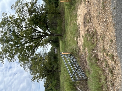 Timberland W/ Creek W/ Old Home Site near Chidester, AR for Sale - image 1