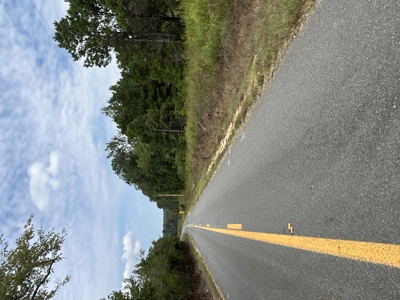 Timberland W/ Creek W/ Old Home Site near Chidester, AR for Sale - image 2