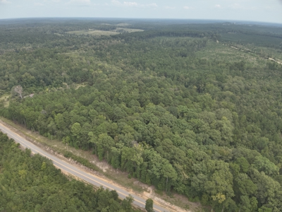 Timberland W/ Creek W/ Old Home Site near Chidester, AR for Sale - image 14