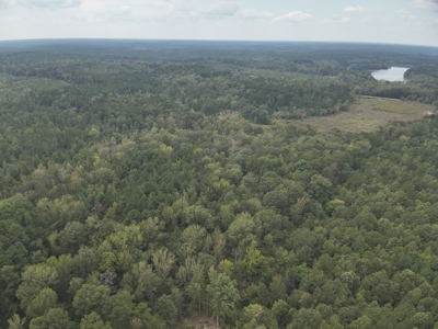 Timberland W/ Creek W/ Old Home Site near Chidester, AR for Sale - image 21