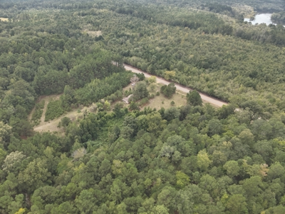 Timberland W/ Creek W/ Old Home Site near Chidester, AR for Sale - image 22