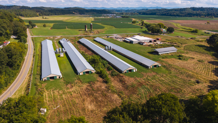 Online-Only Auction — Midway, Tennessee Farm for Sale - image 37