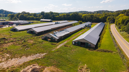 Online-Only Auction — Midway, Tennessee Farm for Sale - image 41