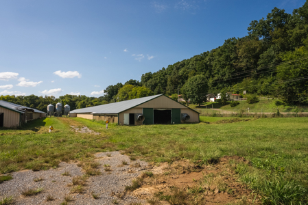Online-Only Auction — Midway, Tennessee Farm for Sale - image 42