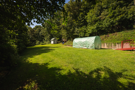 Online-Only Auction — Midway, Tennessee Farm for Sale - image 2